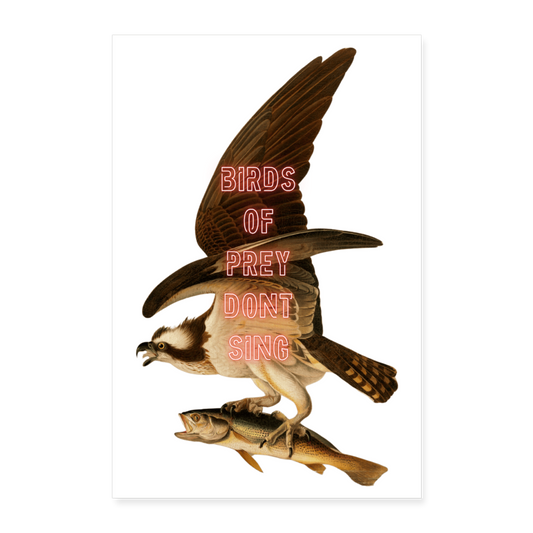 Birds of prey don't sing - Batch1 - Poster 40x60 cm - Weiß